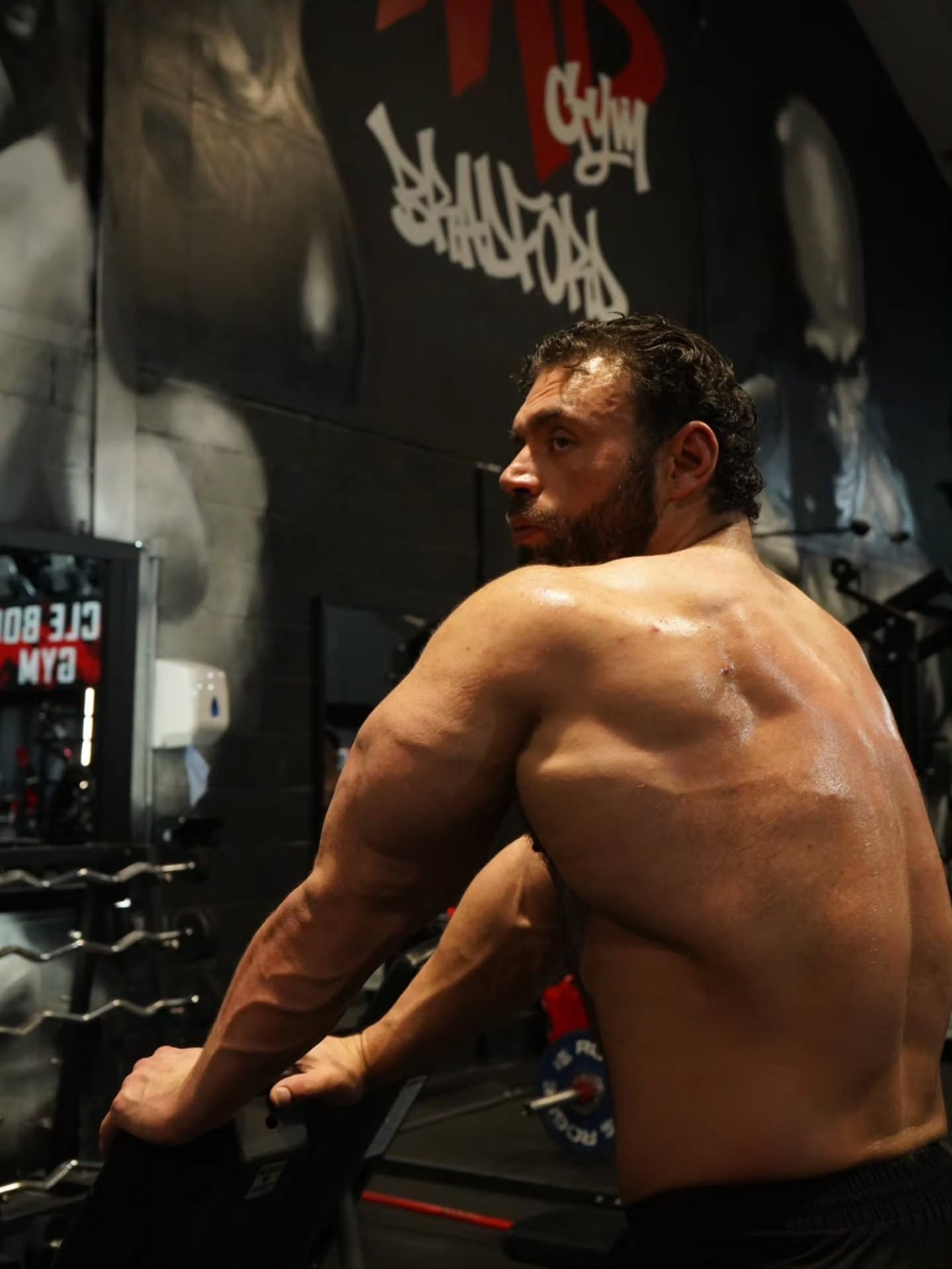 Seated Back Muscularity